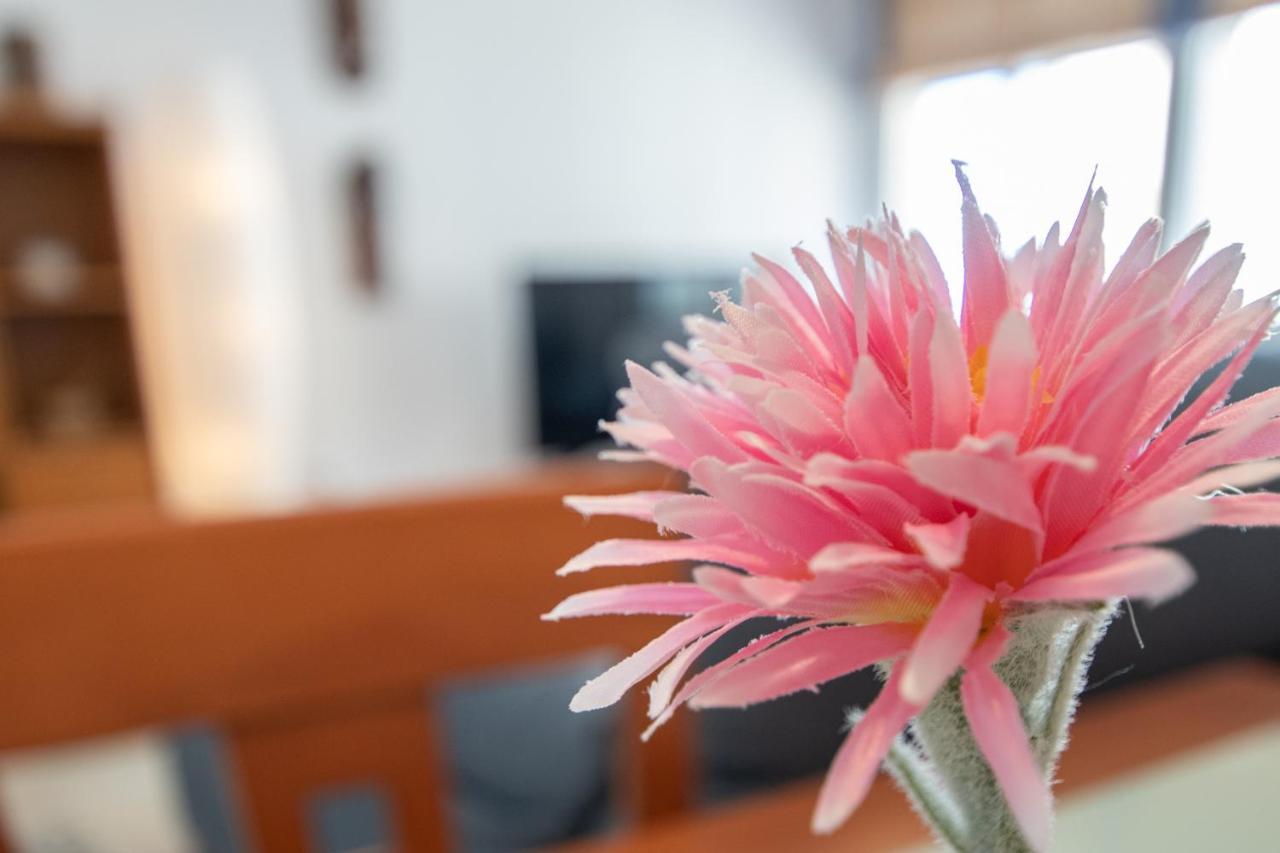 Apartamento Tribalia Cadiz Ngoại thất bức ảnh